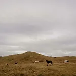 The Wild Atlantic Hideaway Clonakilty