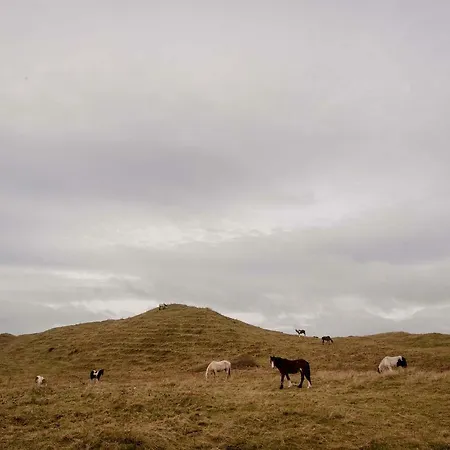The Wild Atlantic Hideaway Клонакилти