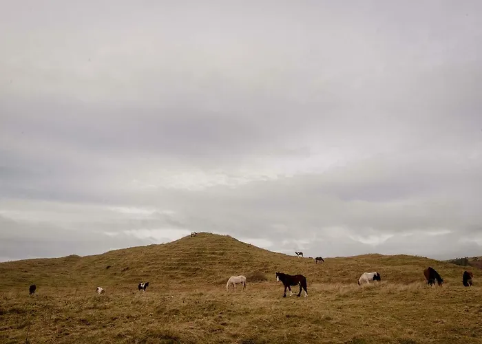 The Wild Atlantic Hideaway Clonakilty